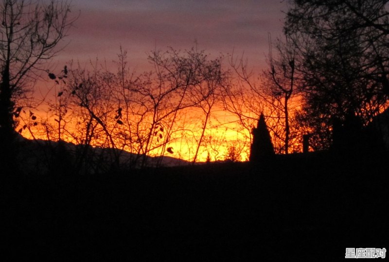 梦到放水,梦到放水 - 星座运势