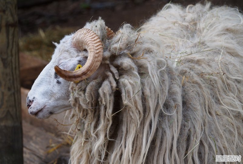 白羊座即将迎来的3件喜事,白羊人今日运势 白羊座即将迎来的3件喜事,白羊人今日运势 - 星座运势