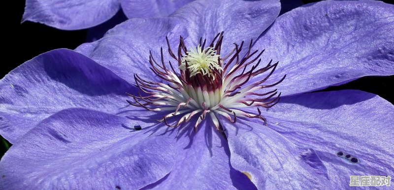 9月跟10月是什么星座,九月是什么星座女 - 星座运势