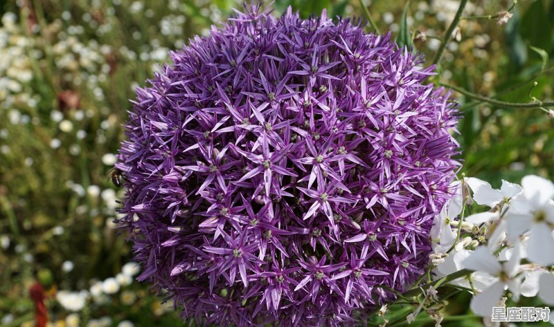 10月和12月出生的星座是什么_一十月份是什么星座 10月和12月出生的星座是什么_一十月份是什么星座 - 星座运势