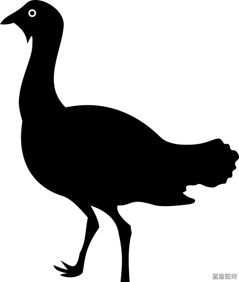 普风捉影动物是什么_杯弓蛇影的动物 - 星座运势