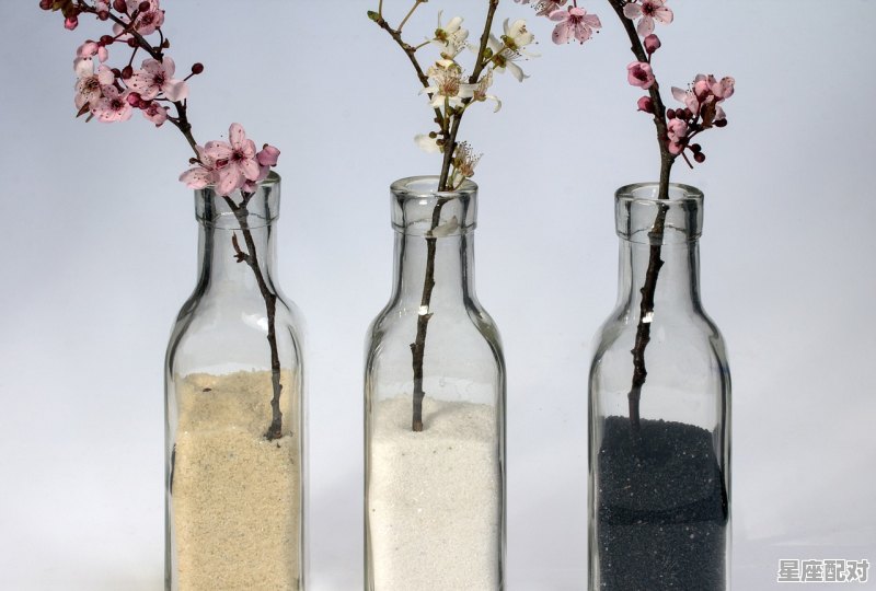 水瓶女的真实性格_水瓶座女的性格怎样 - 星座运势