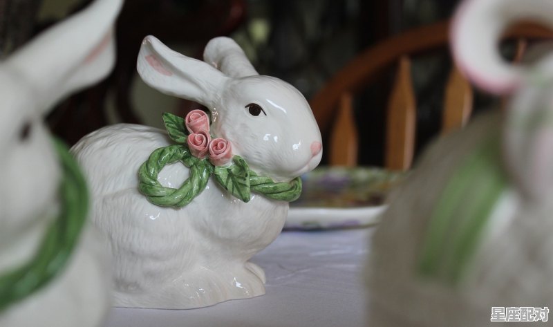 属猪天蝎座女的性格，属猪的天蝎座的性格 - 星座运势