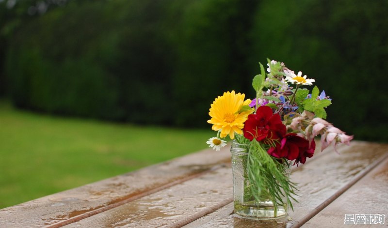 摩羯女和什么星座是配的,和处女座相配的星座配对指数是什么 - 星座运势
