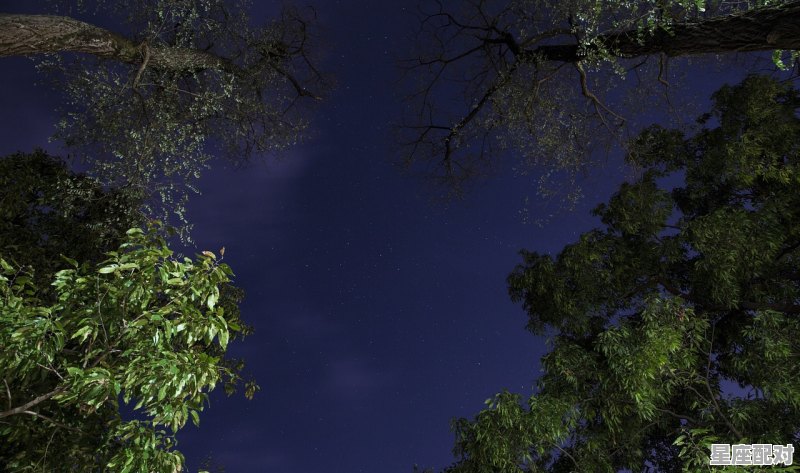 夜晚东方上空有七八颗星星在一堆的，也就是挤在一块，叫什么星星，或星座_8座面包车多少年报废 - 星座运势