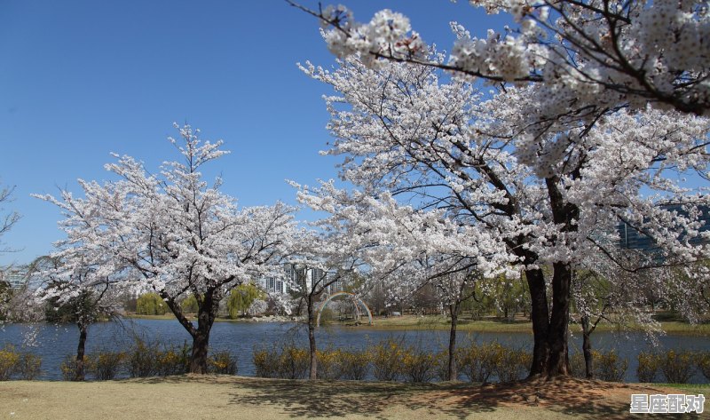 金牛座2022年将要发生的事,金牛今日运势感情 - 星座运势