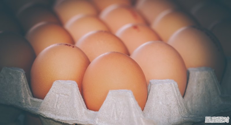 给鸡吃了感冒药.鸡生的蛋孕妇能吃吗，孕妇梦到鸡 - 星座运势