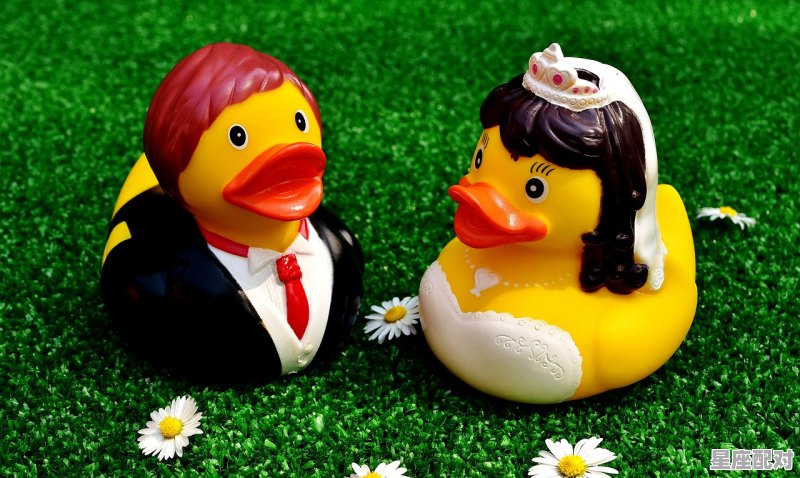 鸭子拦路有什么说法,鸭子今日运势最新 - 星座运势