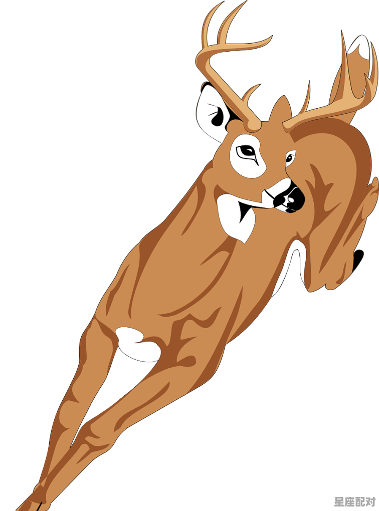 啸字代表什么动物,森林指什么生肖 - 星座运势