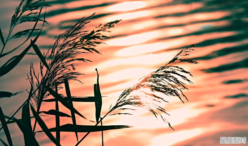 1981年农历9月26曰出生运势_农历1981年12月17日出生的人命运之轮 1981年农历9月26曰出生运势_农历1981年12月17日出生的人命运之轮 - 星座运势