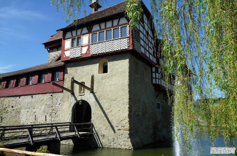 梦到蛇咬手,梦到蛇咬手 - 星座运势