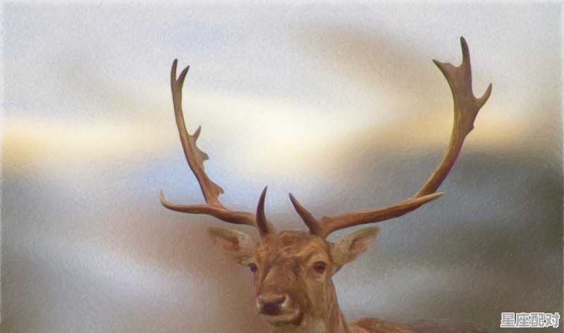 小鹿摩羯座今日运势,小鹿摩羯座今日运势 小鹿摩羯座今日运势,小鹿摩羯座今日运势 - 星座运势