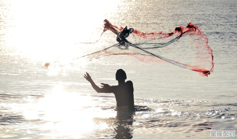 蛇咬手是什么意思_做梦梦到蛇咬我 蛇咬手是什么意思_做梦梦到蛇咬我 - 星座运势