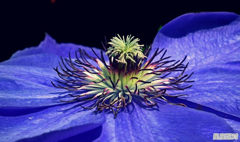 有什么好看的++++,9.1是什么星座 - 星座运势