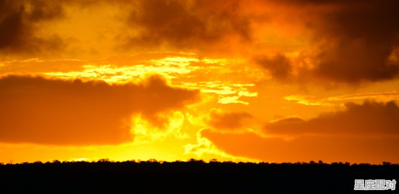 狮子座和水瓶座配吗_狮子座和水瓶座相配吗 - 星座运势
