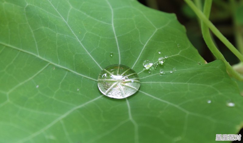 最能陪伴水瓶座的星座有哪三个_为什么水瓶座和摩羯座那么有缘 最能陪伴水瓶座的星座有哪三个_为什么水瓶座和摩羯座那么有缘 - 星座运势