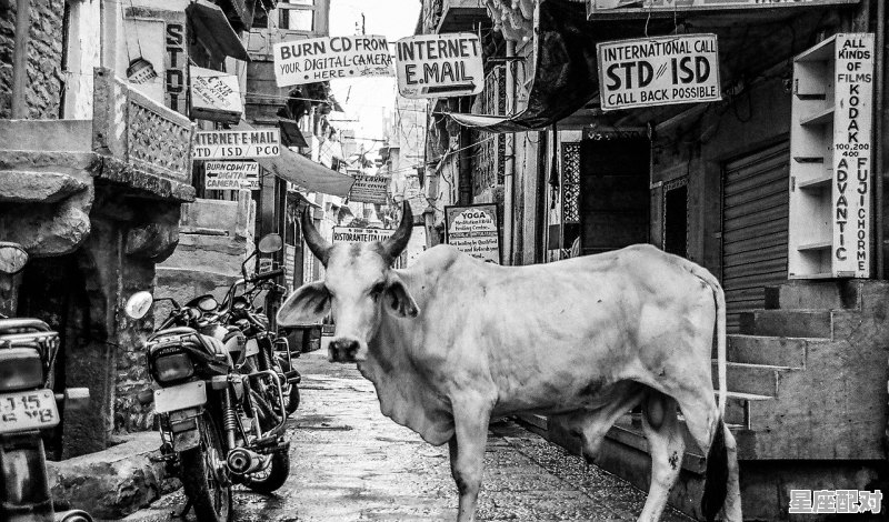 中国少数民族的风俗习惯有哪些,少数民族的独特过年习俗 中国少数民族的风俗习惯有哪些,少数民族的独特过年习俗 - 星座运势