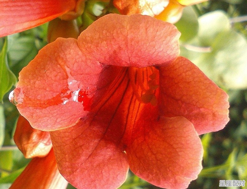 炷是什么意思，梦到香火 - 星座运势