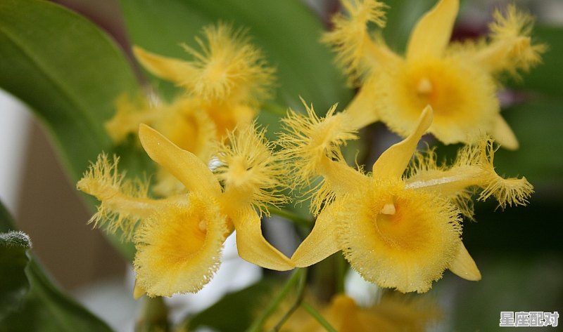 摩羯座2021年每月运势,摩羯座19今日运势 摩羯座2021年每月运势,摩羯座19今日运势 - 星座运势