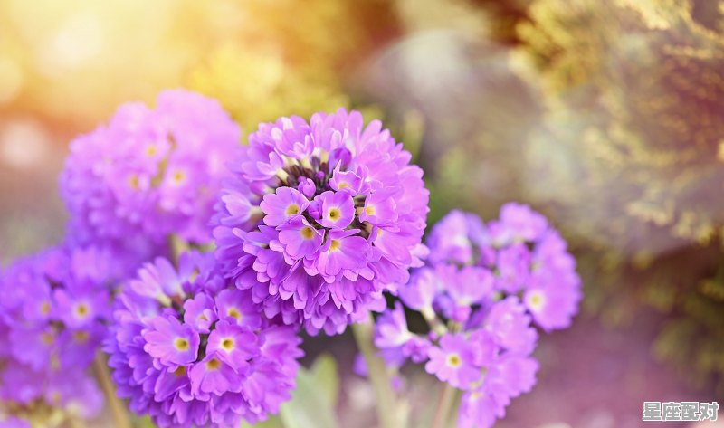 4月中旬是什么星座,四月初什么星座 - 星座运势