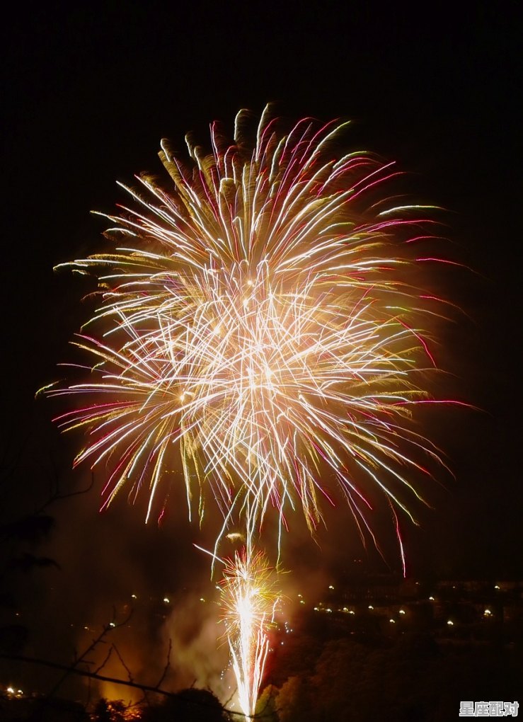 春节来历简短_过年这个词的来历 - 星座运势