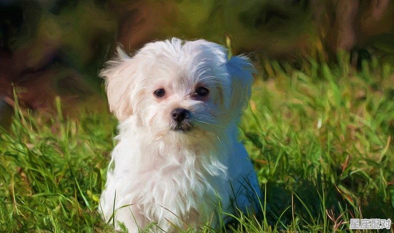 刘备张飞关羽都属什么的,刘备属什么生肖 - 星座运势