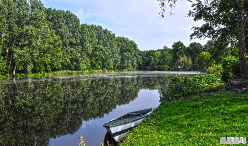 2021年十二月二号属相，明天属什么生肖 - 星座运势