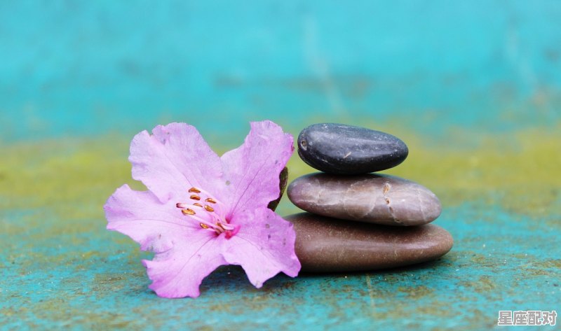 月亮掉地上什么意思_梦到月饼 - 星座运势