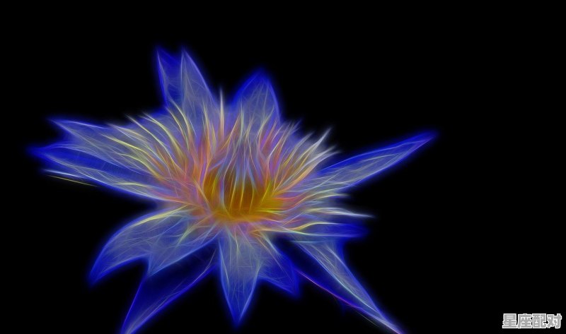 w形状的是什么星座，w是什么星座 - 星座运势