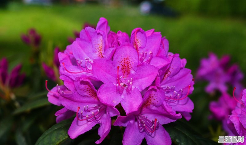 10月份是哪个星座,10月份是什么星座的 - 星座运势