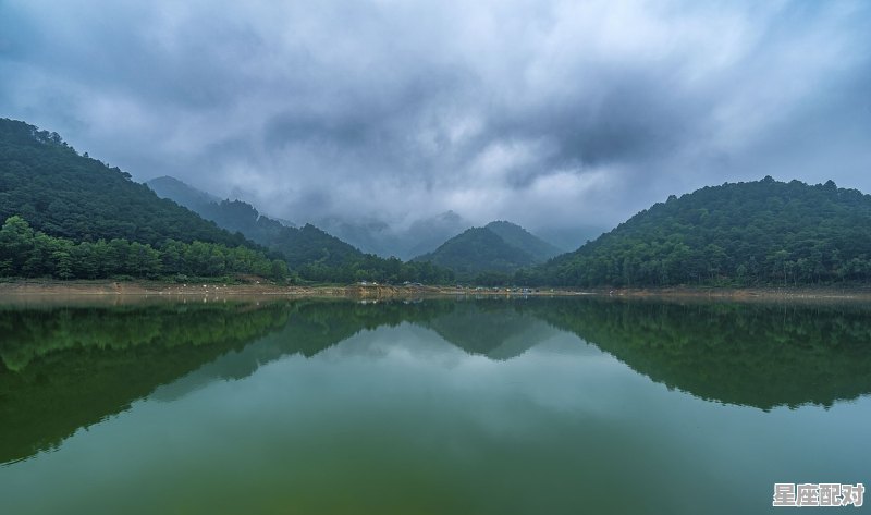 山清水秀的动物,山清水秀什么生肖 - 星座运势