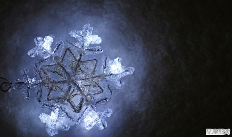 12月25什么星座_12月25日出生是什么星座 - 星座运势