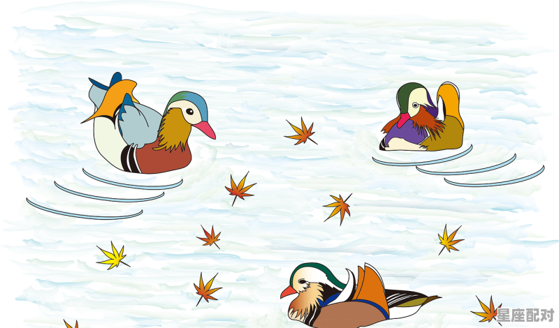 成双一对红鸳鸯主要是指什么动物_齐头并进的动物是什么 成双一对红鸳鸯主要是指什么动物_齐头并进的动物是什么 - 星座运势