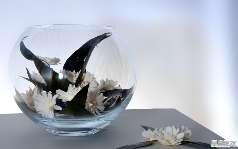 为什么告诫天蝎别碰水瓶,水瓶座怕什么星座 - 星座运势