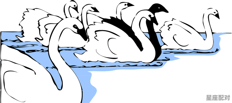 才子佳人是什么动物,美丽的动物是什么生肖 才子佳人是什么动物,美丽的动物是什么生肖 - 星座运势