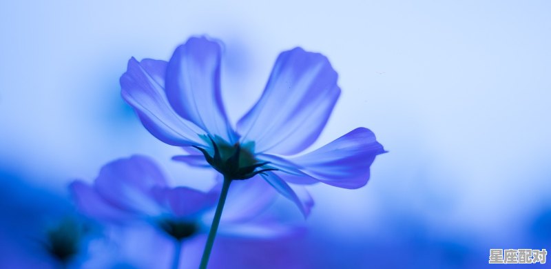 水瓶座性格特征女生,水水瓶座女生性格特点 水瓶座性格特征女生,水水瓶座女生性格特点 - 星座运势