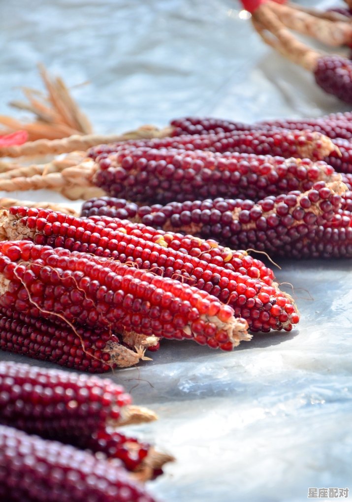 过年要做什么准备呢,过年的习俗和饮食 - 星座运势