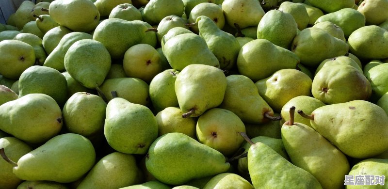 烂梨是什么意思_怀孕能吃梨吗 烂梨是什么意思_怀孕能吃梨吗 - 星座运势