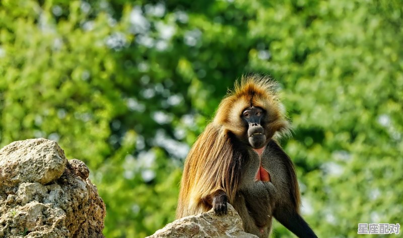 1964年2月出生人属啥,57年属什么生肖 1964年2月出生人属啥,57年属什么生肖 - 星座运势