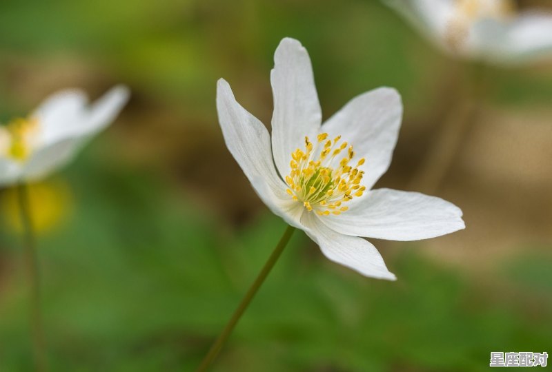 10月星座是什么,生日在10月是什么星座 10月星座是什么,生日在10月是什么星座 - 星座运势