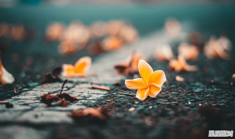 双鱼座什么性格,双鱼座性格的性格 双鱼座什么性格,双鱼座性格的性格 - 星座运势