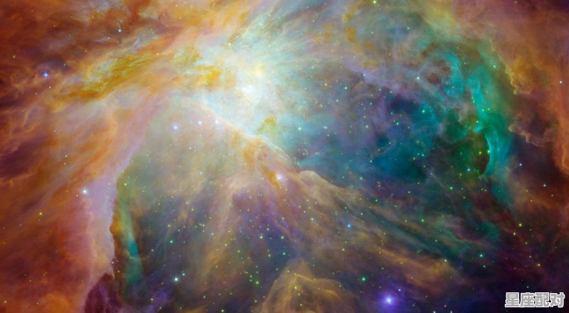 1982年出生的是什么星座，82年的是什么星座 - 星座运势