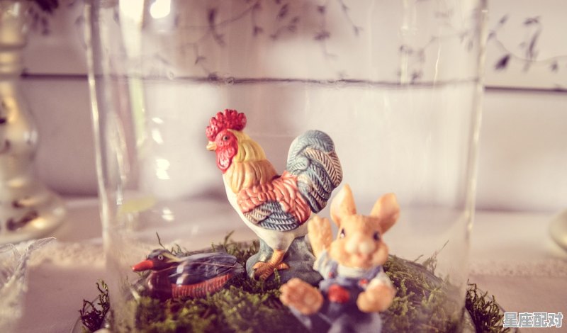 笼子里有一群鸡和兔子，共有40个头，144条腿，问鸡兔各有几只_梦到一群鸡 - 星座运势