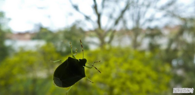 光脚水里走路怎么形容，梦到在水里走 - 星座运势