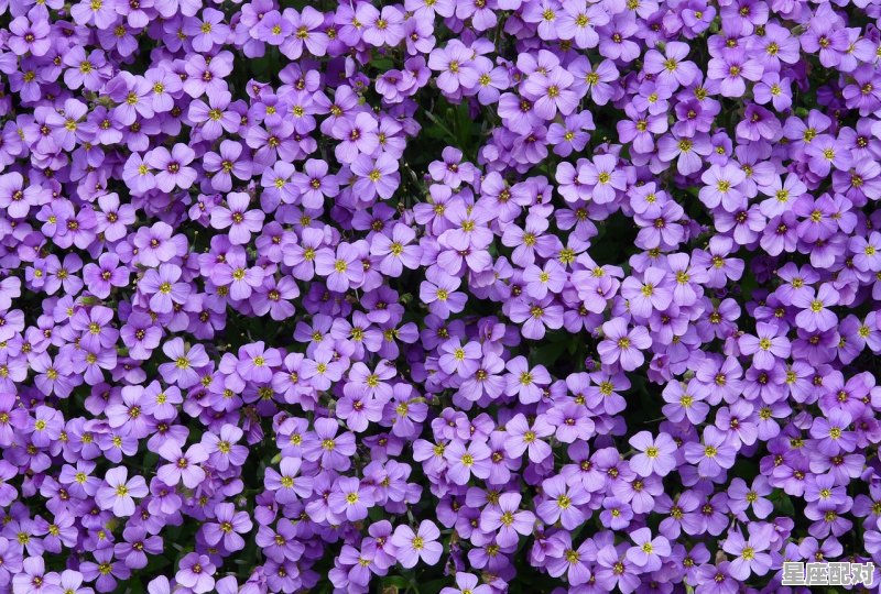 2021年双鱼座总结,今日份星座运势 2021年双鱼座总结,今日份星座运势 - 星座运势