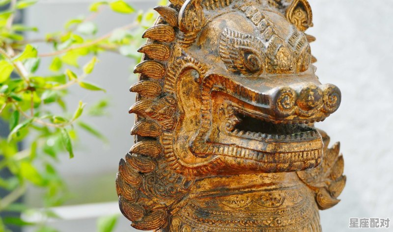 九四年属相是什么,九四年属什么生肖 九四年属相是什么,九四年属什么生肖 - 星座运势