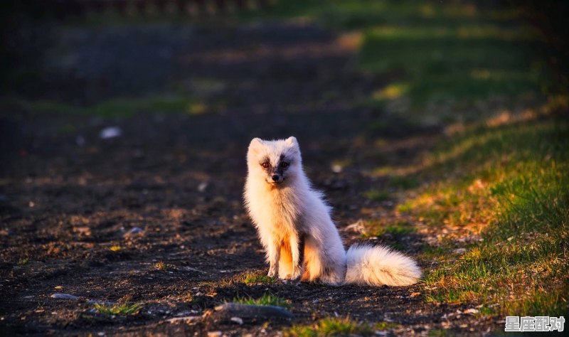 野老苍颜一笑温、什么意思啊,温什么生肖 野老苍颜一笑温、什么意思啊,温什么生肖 - 星座运势