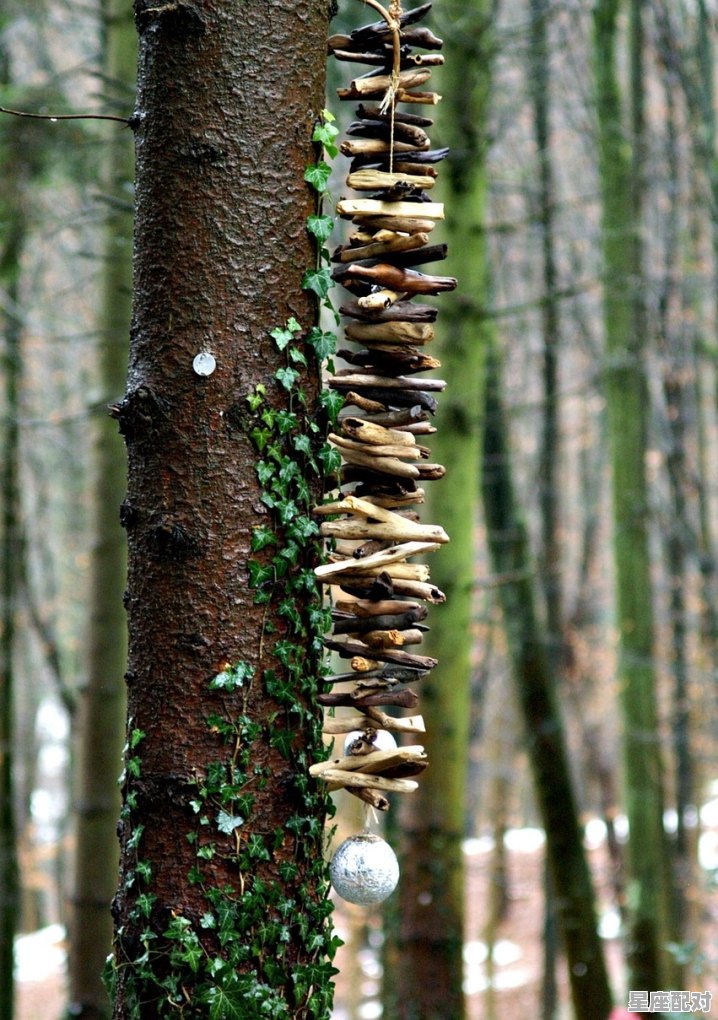 秋后的石榴成语是，梦到石榴树 - 星座运势