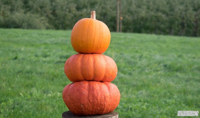 孕妇吃南瓜好吗?南瓜都有什么营养啊,孕妇梦到南瓜 孕妇吃南瓜好吗?南瓜都有什么营养啊,孕妇梦到南瓜 - 星座运势