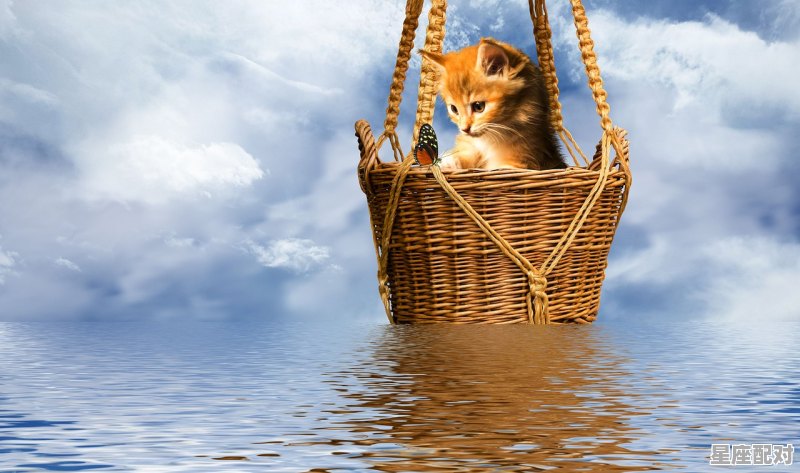 2021年腊月哪一天是属猴,猴年的人今日运势 - 星座运势